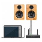 Arylic A30+ Wireless Stereo Mini Amplifier Arylic A30+ Wireless Stereo Mini Amplifier