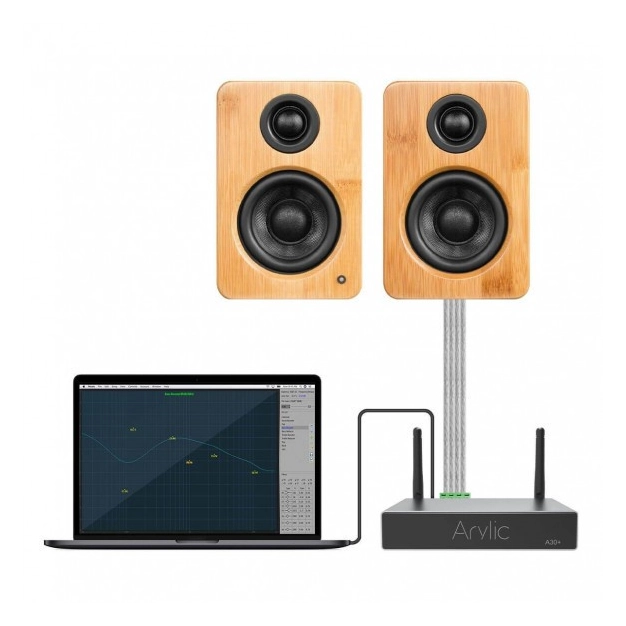 Arylic A30+ Wireless Stereo Mini Amplifier