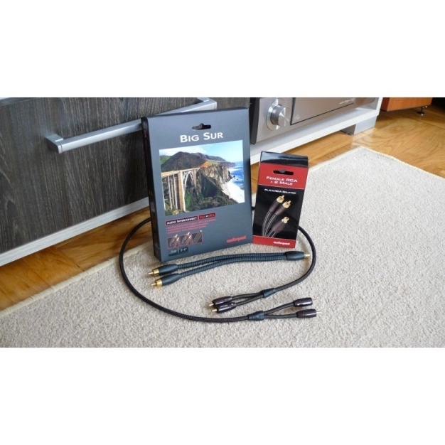 Міжблочний кабель AudioQuest BIG SUR RCA-RCA 0.6 м Міжблочний кабель AudioQuest BIG SUR RCA-RCA 0.6 м