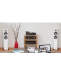 Підлогова акустика Monitor Audio Silver Series 200 Cutout