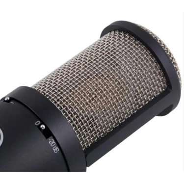 Студійний конденсаторний мікрофон AKG Perception 220 (P220)