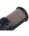 Студійний конденсаторний мікрофон AKG Perception 220 (P220)