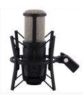 Studio Condenser Microphone AKG Perception 220 (P220)