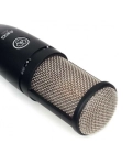 Studio Condenser Microphone AKG Perception 220 (P220)