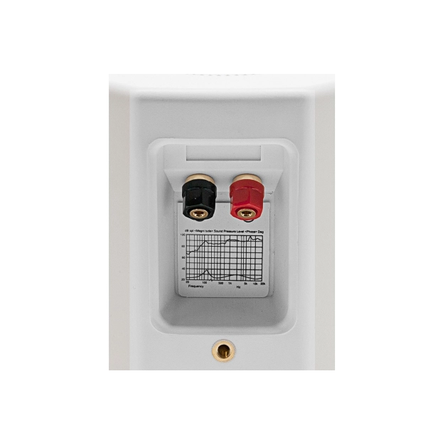 Всепогодна акустика EarthQuake AWS-502W Всепогодна акустика EarthQuake AWS-502W