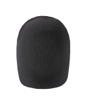 Studio microphone Behringer B-2 PRO