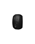 Навісна акустична система DV audio MS-4.2T IP Black