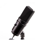 Комплект для звукозапису Zoom ZUM-2PMP