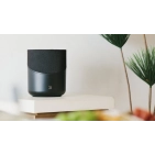 Акустична система Bluesound PULSE M