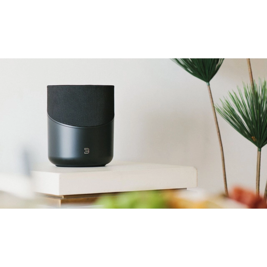 Акустична система Bluesound PULSE M