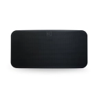 Бездротовий гучномовець Bluesound PULSE MINI 2i Wireless Streaming Speaker Black