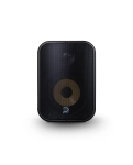 Bluesound SP500 Professional 5.25" PoE Speaker Black