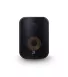 Bluesound SP500 Professional 5.25" PoE Speaker Black