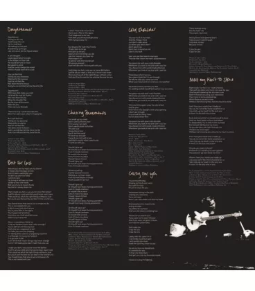 Вінілова платівка LP Adele: 19