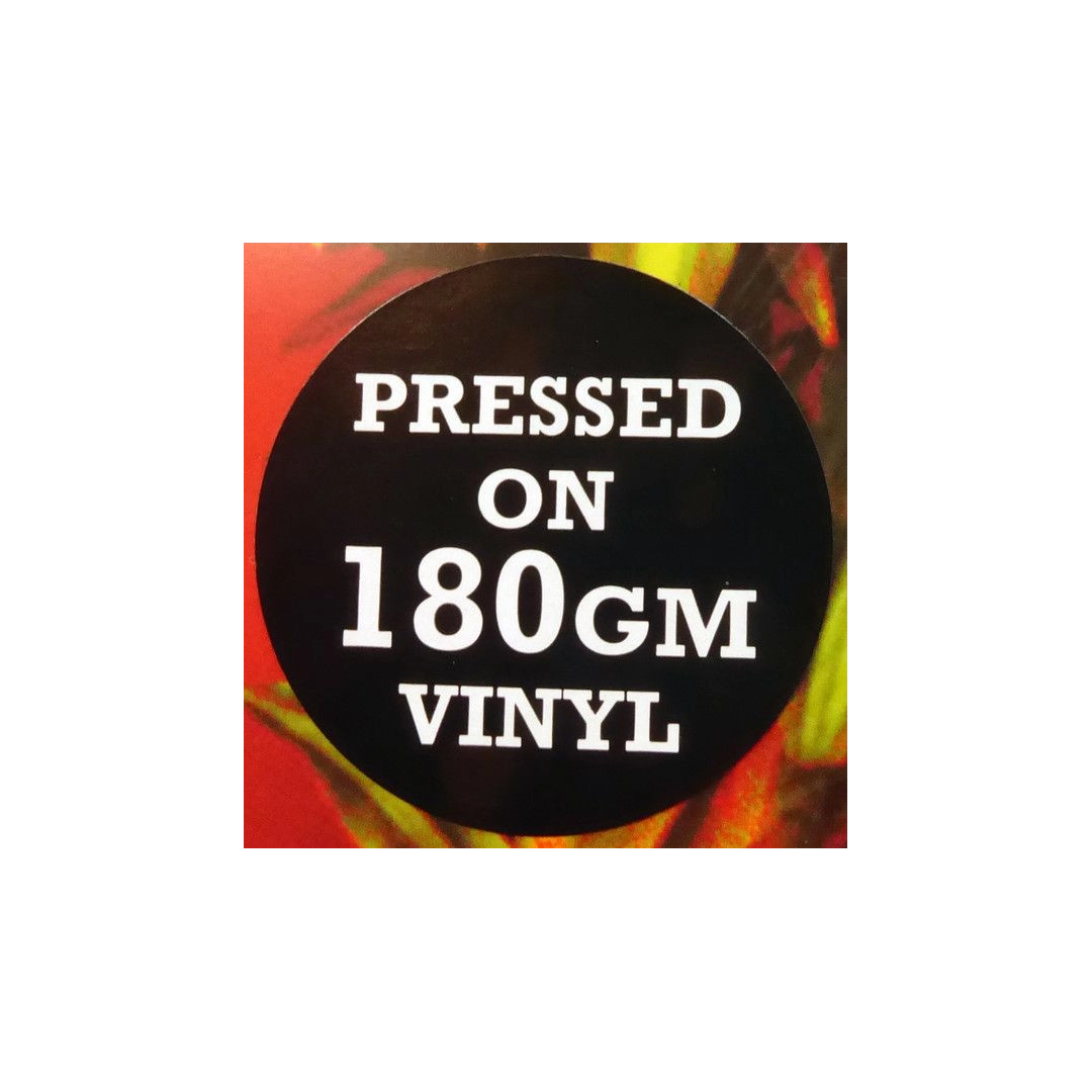 Вінілова платівка LP Morcheeba: Big Calm