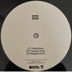 LP2 Muse: Origin Of Symmetry