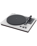 Teac TN-175-W повністю автоматичний аналоговий програвач