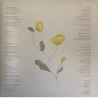 Вінілова платівка "Local Valley" від José González - 1LP