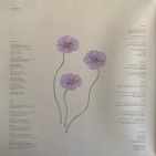 Вінілова платівка "Local Valley" від José González - 1LP