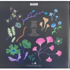 Вінілова платівка "Local Valley" від José González - 1LP