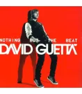 LP2 David Guetta: Nothing But The Beat