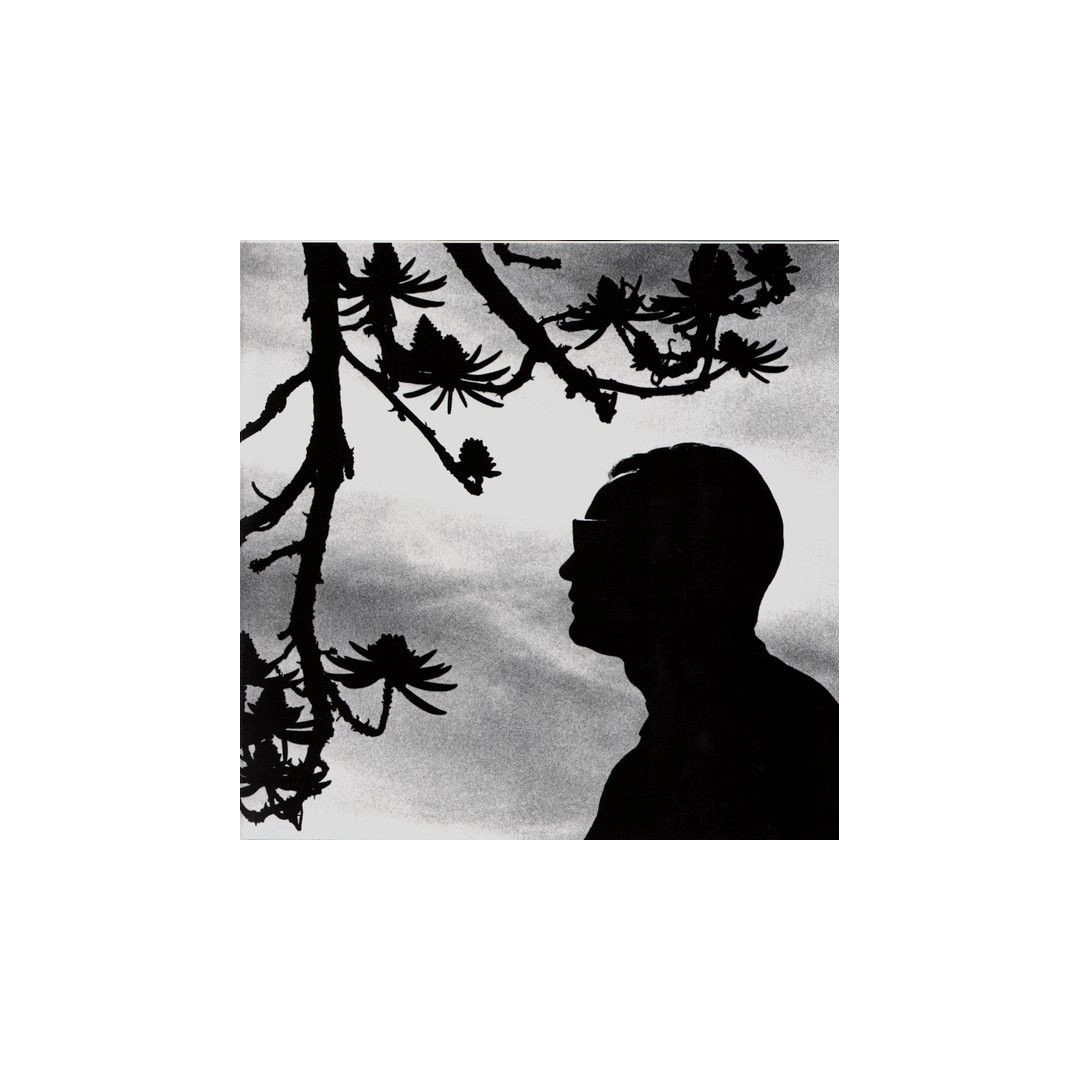 LP2 Depeche Mode: Playing The Angel