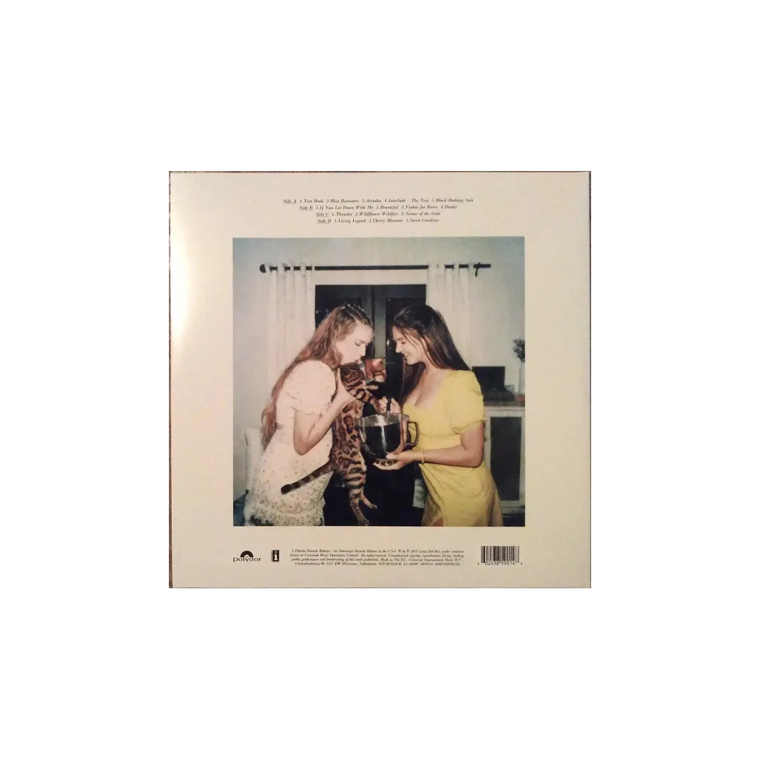 LP2 Lana Del Rey: Blue Banisters