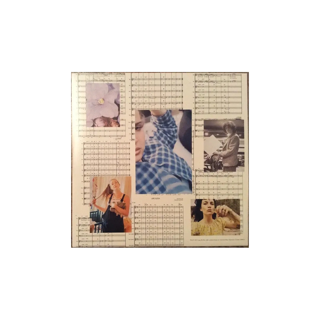 LP2 Lana Del Rey: Blue Banisters