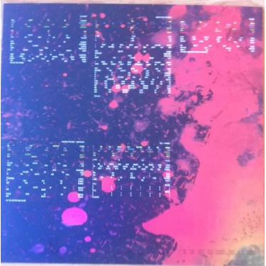 LP Radiohead: IN RAINBOWS