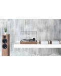 Pro-Ject The Classic Evo 2M Silver Walnut