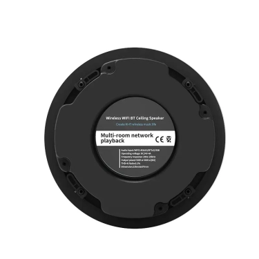 Стельовий динамік Cloudyx CS-2 Ceiling speaker