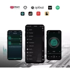 Підсилювач Cloudyx CL-300W Pro Hi-Fi WIFI Audio Amplifier