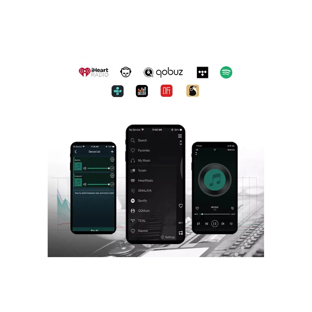 Підсилювач Cloudyx CL-300W Pro Hi-Fi WIFI Audio Amplifier Підсилювач Cloudyx CL-300W Pro Hi-Fi WIFI Audio Amplifier