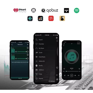 Підсилювач Cloudyx CL-300W Pro Hi-Fi WIFI Audio Amplifier