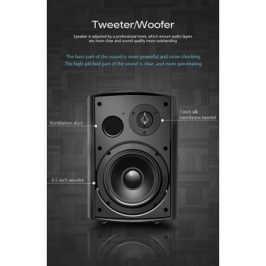 Акустика настінна Cloudyx CS-5 Wall mounted speaker