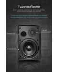 Cloudyx CS-5 wall mounted speaker