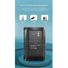 Акустика настінна Cloudyx CS-5 Wall mounted speaker