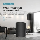Акустика настінна Cloudyx CS-5 Wall mounted speaker