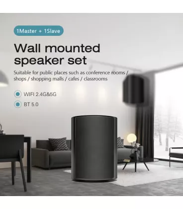 Акустика настінна Cloudyx CS-5 Wall mounted speaker