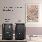Акустика настінна Cloudyx CS-5 Wall mounted speaker