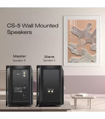 Акустика настінна Cloudyx CS-5 Wall mounted speaker