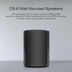 Акустика настінна Cloudyx CS-5 Wall mounted speaker