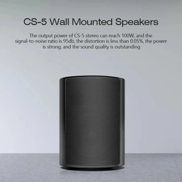 Акустика настінна Cloudyx CS-5 Wall mounted speaker