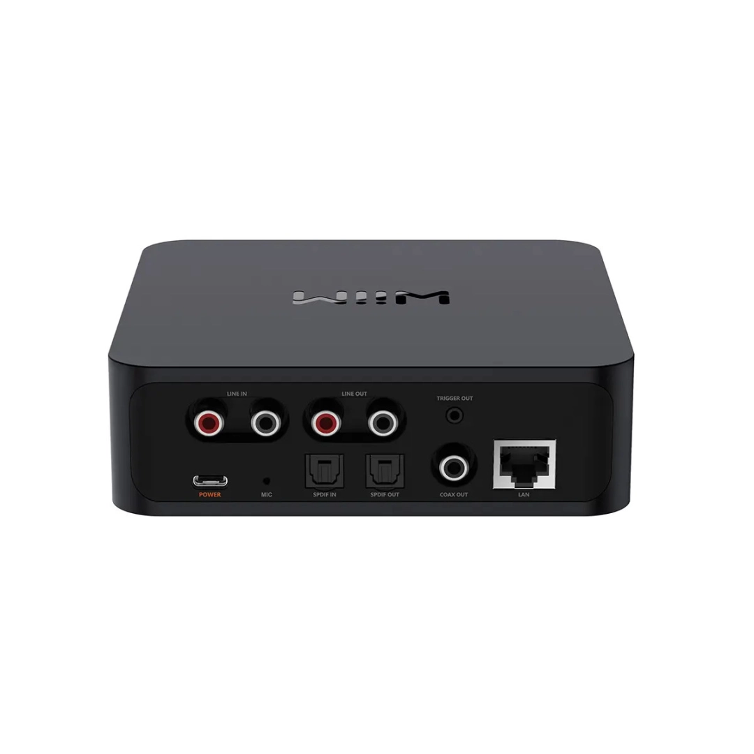 Музичний стрімер WiiM Pro 2.4G+ 5G version Airplay2