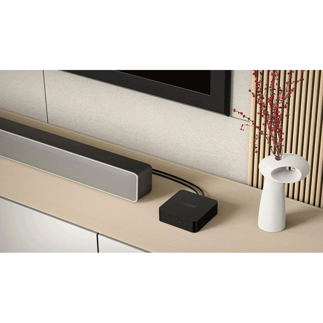 Музичний стрімер WiiM Pro 2.4G+ 5G version Airplay2