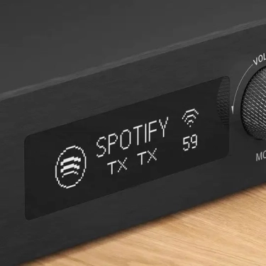 Підсилювач Arylic H50 Wireless Stereo Amplifier
