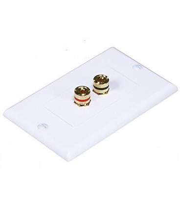 Airbase Wall Plate 1 Speaker