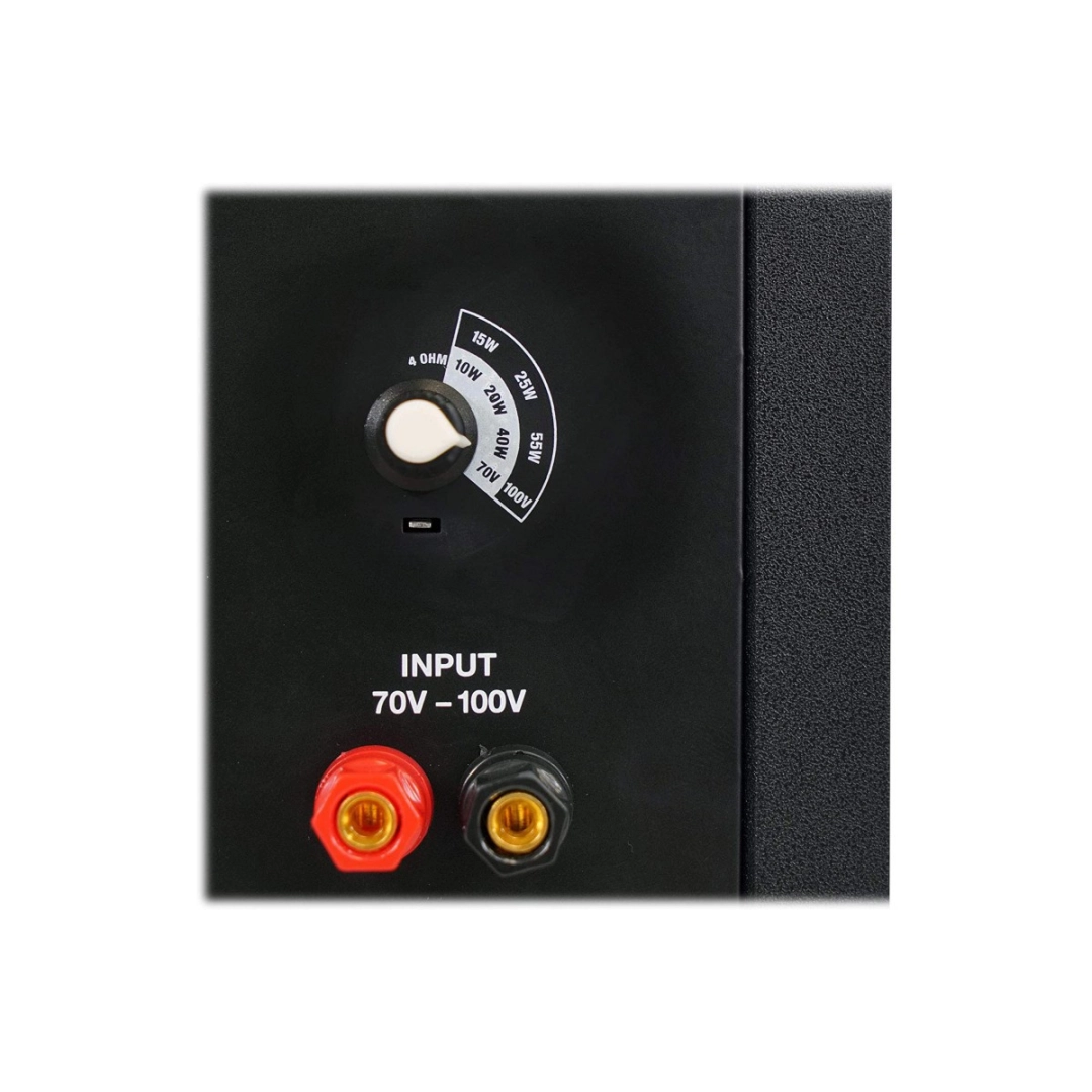 Корпусний пасивний сабвуфер DV audio SUB-8T 100V: 15W, 25W, 55W або 4ом/80W Корпусний пасивний сабвуфер DV audio SUB-8T 100V: 15W, 25W, 55W або 4ом/80W