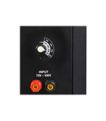 Корпусний пасивний сабвуфер DV audio SUB-8T 100V: 15W, 25W, 55W або 4ом/80W