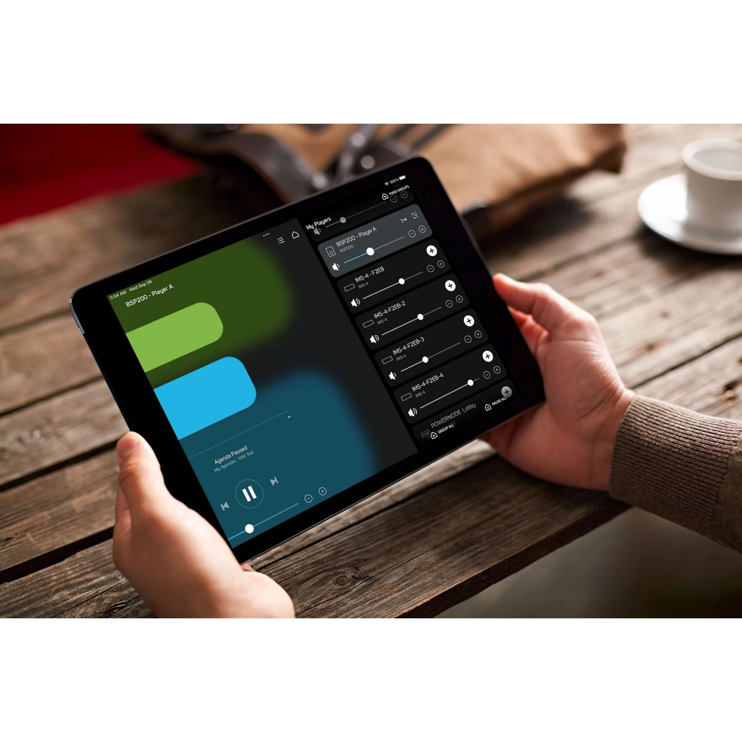 Настінна панель керування Bluesound CP100